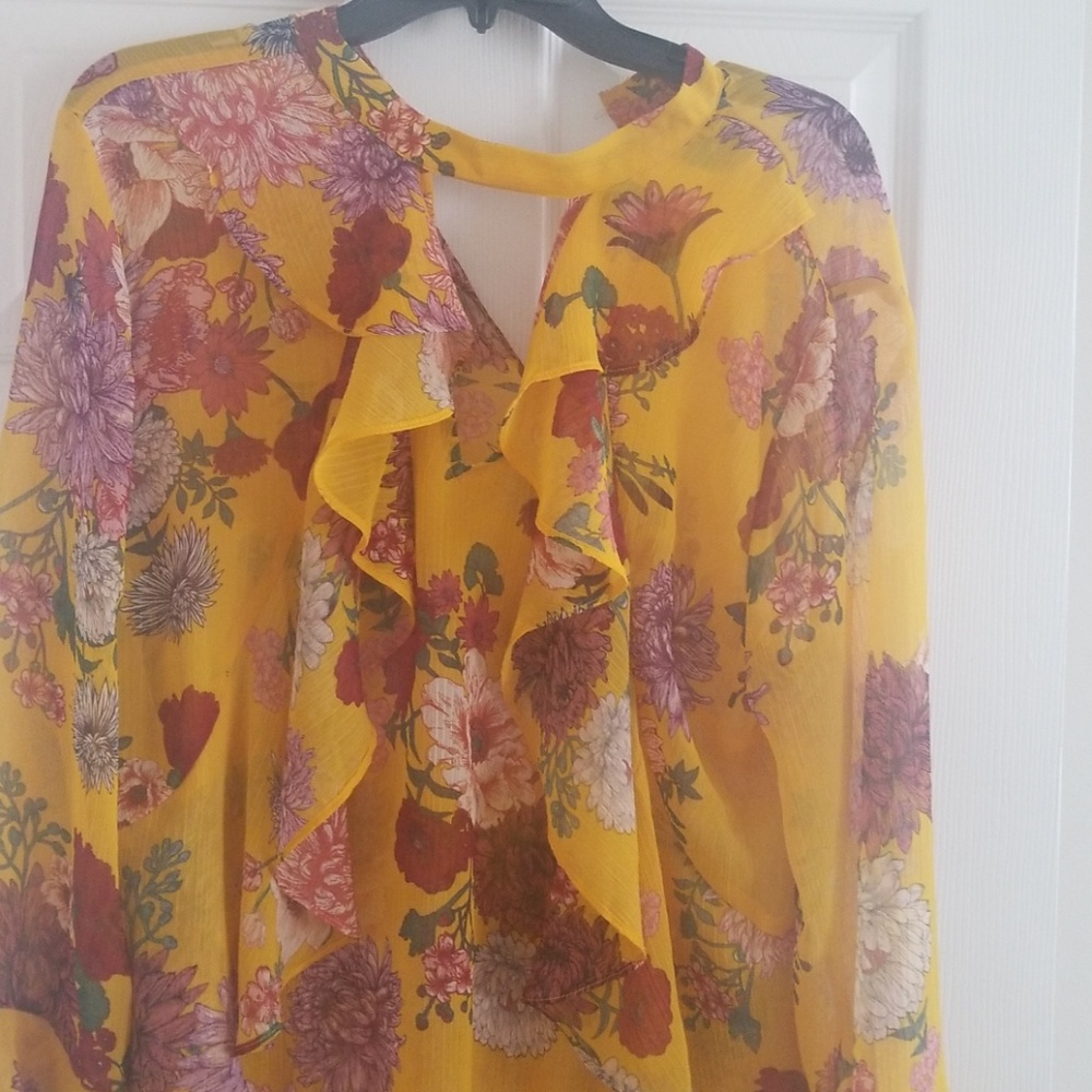 Belle + Sky sheer shirt